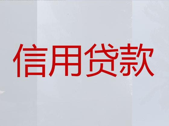 瑞安正规贷款公司-银行信用贷款